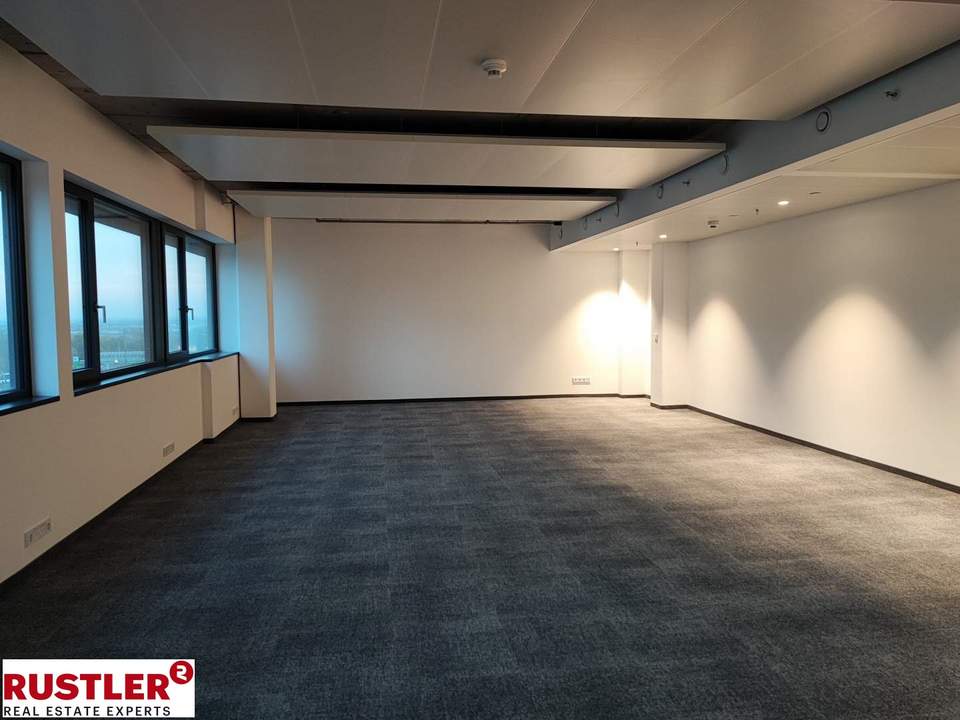 Das myhive Urban Garden Bürokonzept – Ein "Detox-Programm" für den Arbeitsalltag