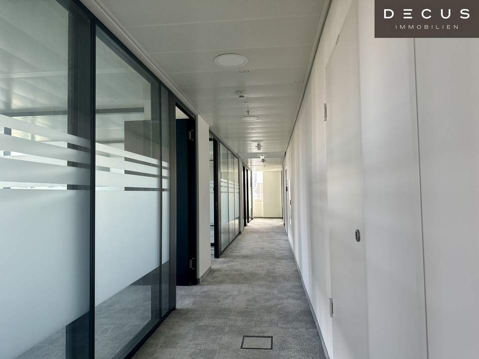 + + + WBS 7 + + + MYHIVE AM WIENERBERG + + +