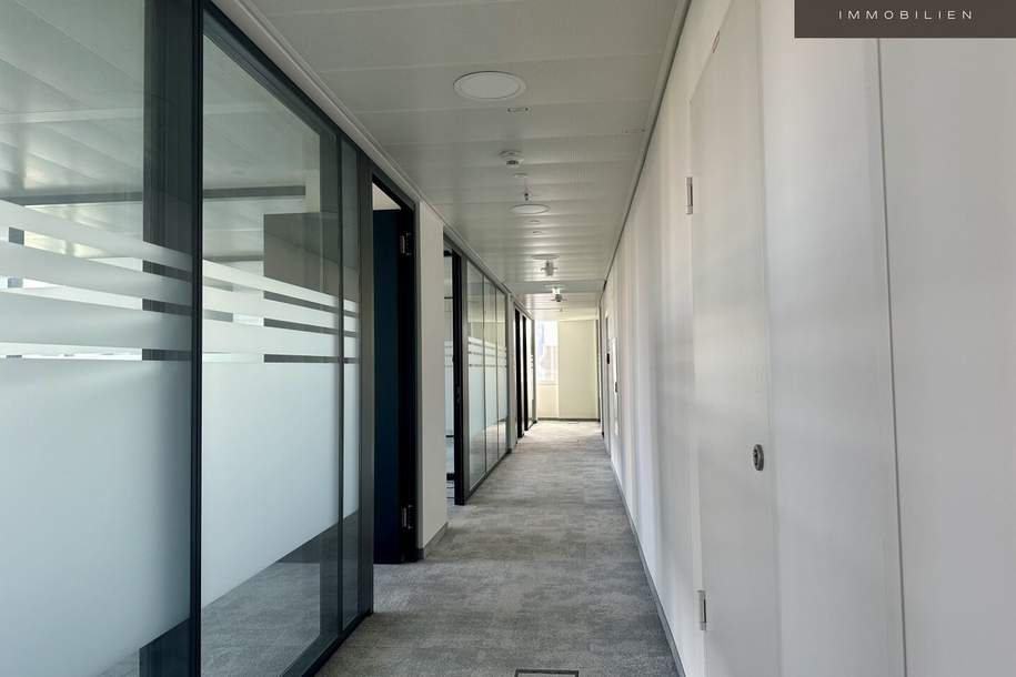 + + + WBS 7 + + + MYHIVE AM WIENERBERG + + +, Gewerbeobjekt-miete, 3.100,00,€, 1100 Wien 10., Favoriten