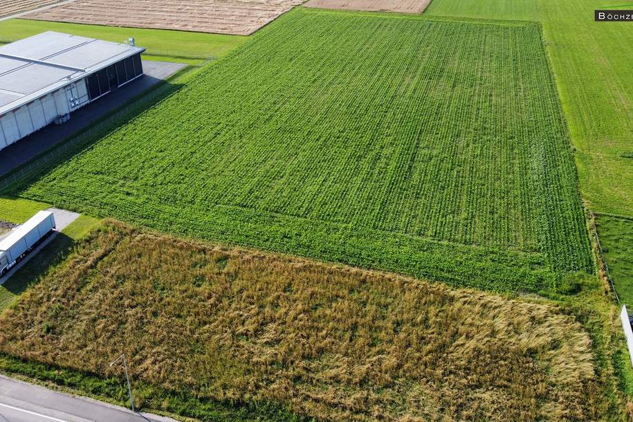 BAURECHT: Gewerbegrundstück mit knapp 32.000 m² in optimaler Verkehrslage +++ Spielberg +++, Grund und Boden-miete, 8724 Murtal