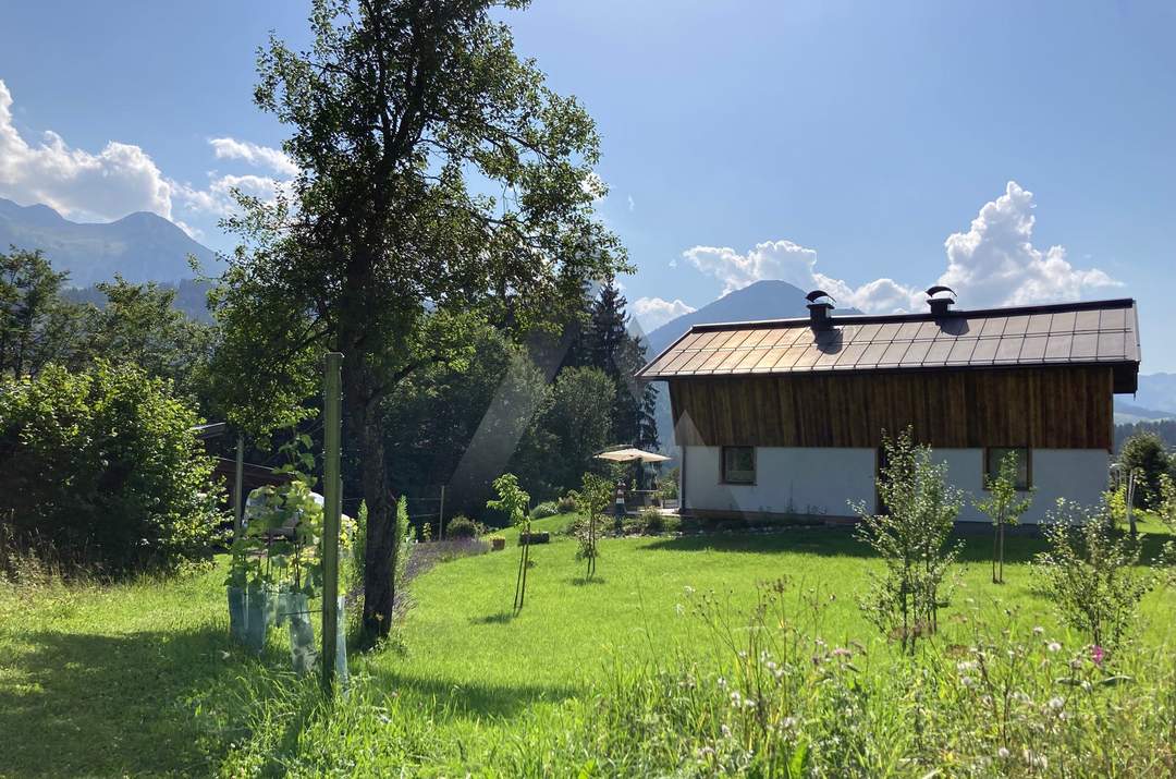 Sonniges Häuschen mit Weinstöcken in Südhanglage