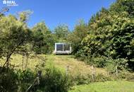 Landsitz in Einzellage - 6 Hektar - Der Garten Eden könnte nicht schöner sein !