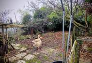 EIN STÜCK GESCHICHTE: IHR TRAUM VOM EIGENHEIM