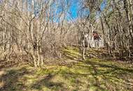 Ob alte Villa-neuer Bau, auf Riesengrund nach Süden schau!