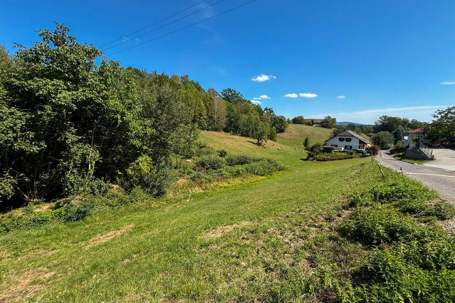 Baugrundstück ohne Bauzwang | 1.083 m² in ruhiger, zentrumsnaher Lage, Grund und Boden-kauf, 45.000,€, 4175 Urfahr-Umgebung