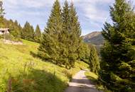 Ankommen und Ausspannen auf 950 m² Naturglück