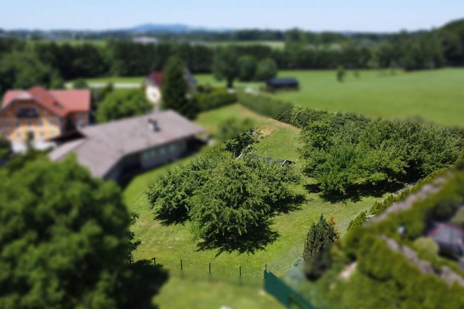Baugrund sucht Interessenten für Doppelhaus, Grund und Boden-kauf, 5301 Salzburg-Umgebung