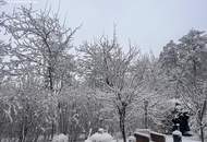 Familientraum in Top-Lage