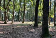 BEZUGSFERTIGES Einfamilienhaus im schönen, sonnigen Südburgenland