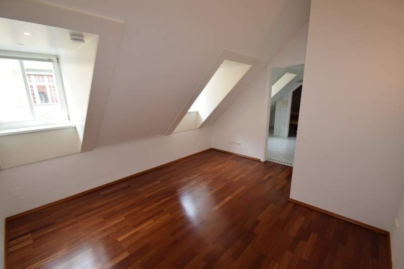 Penthouse auf einer Etage mit Dachterrasse beim Schwarzenbergplatz |privater Liftausstieg |absolute Ruhelage, Wohnung-miete, 3.590,00,€, 1030 Wien 3., Landstraße