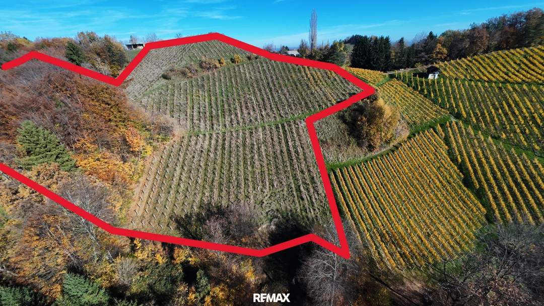 Weingarten mit Landwirtschaft in Kranach, Gemeinde Gamlitz ( ZONE III )