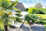 PALMEN, POOL und BARBEQUE