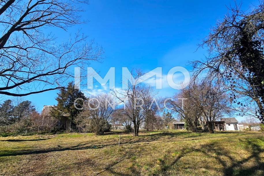 Bauträger oder Privatperson: Traumhaftes, großes Grundstück mit Altbaumbestand in ruhiger Lage, Grund und Boden-kauf, 2.247.400,€, 2425 Neusiedl am See