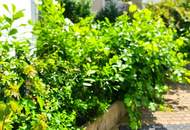 Aktion! Großstadt draußen, Grünidylle drinnen! Seltenheit! Perfekte Gartenwohnung - Hier will ich leben! Traumhaft saniertes Altbauhaus + Hofseitige Terrasse und Garten + Tolle Infrastruktur und Anbindung + Lebensqualität! Jetzt zugreifen!