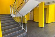 Moderne 1 Zimmer Wohnung mit Westterrasse - Bruck an der Leitha