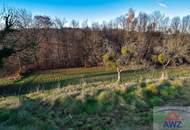 Baugrundstück mit landwirtschaflicher Nutzfläche!