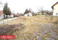 Großzügiges Baugrundstück in ruhiger Dorflage – voll erschlossen & ohne Bauzwang