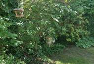 Ein Ruhepol mit 80 m² Garten - Großzügige 2-Zimmer-Gartenwohnung