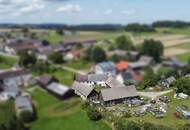 Sanierungsbedürftiger Bauernhof mit Hobby-Autowerkstatt in idyllischer Lage