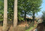 NEUBAUMIETE IN GRÜNLAGE MIT SONNENLOGGIA UND GARAGENPLATZ