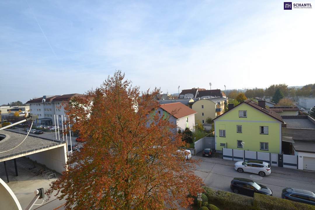 Ein großzügiger Ausblick und einen herrlichen Lichteinfall.