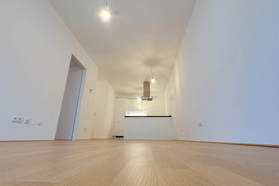 Wien Hauptbahnhof/ Stockerau in nur 40 Minuten/3 sonnige Zimmer plus Loggia, Wohnung-miete, 1.050,23,€, 2000 Korneuburg