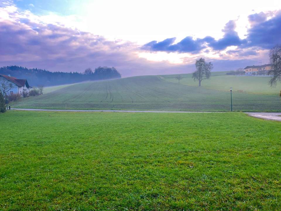 Sonniges Baugrundstück nahe Zentrum ohne Bauzwang