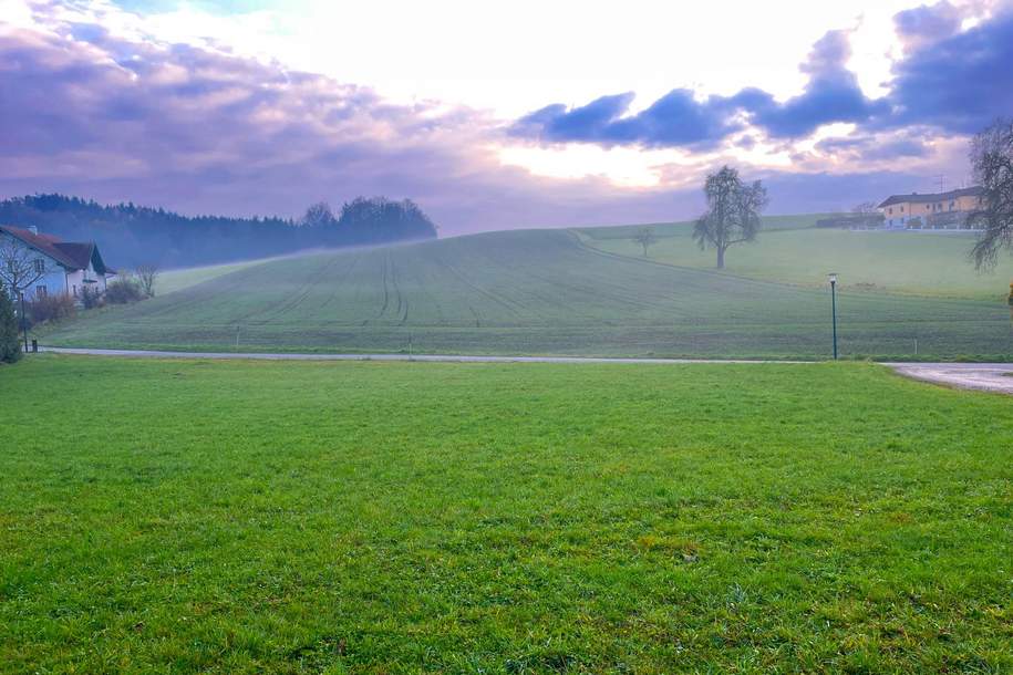 Sonniges Baugrundstück nahe Zentrum ohne Bauzwang, Grund und Boden-kauf, 266.980,€, 4770 Schärding