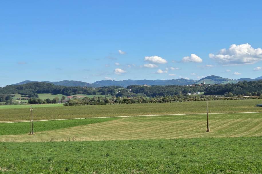 Unverbaubare Fernsicht! 1.531 m² großes Hang-Baugrundstück OHNE Bauzwang und OHNE Bebauungsplan in Steusiedlung am Land!, Grund und Boden-kauf, 195.000,€, 4522 Steyr-Land