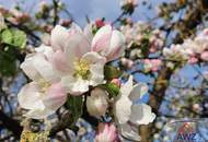 TOP-Gelegenheit: Größeres Unternehmen / Anwesen aus Pensionsgründen zu verkaufen.