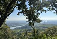 Ca. 3000 m² weitläufiges und stilvoll gestaltetes Gartenareal mit Terrassen, Pavillon und exklusiven Rückzugsbereichen – ideale Kulisse für Events, Kundentermine oder Outdoor-Inszenierungen.