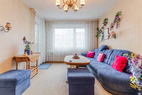 Bastlerhit - Platz für neue Ideen, eine 4er WG und die Familie, Wohnung-kauf, 355.000,€, 1200 Wien 20., Brigittenau