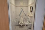 Helle, sonnige Wohnung in ruhiger Lage