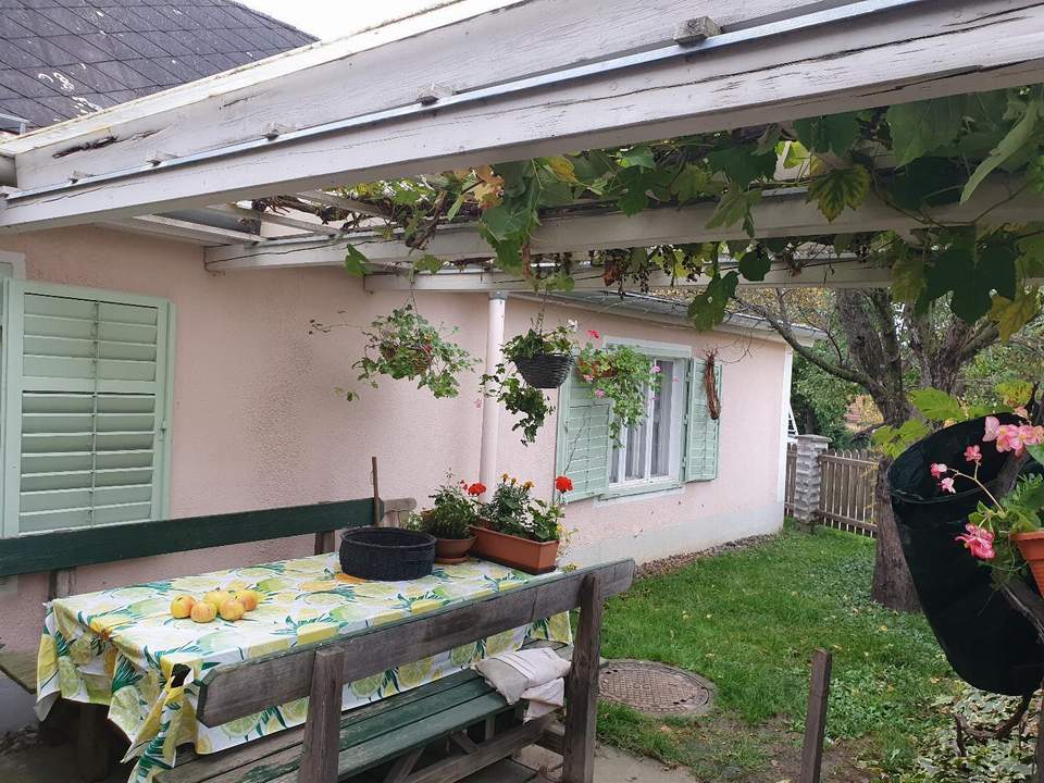 Größere Immobilie im Thermengebiet! Vielseitig nutzbares Haus!