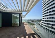 Helle Dachgeschosswohnung mit Panoramablick auf die Donauinsel