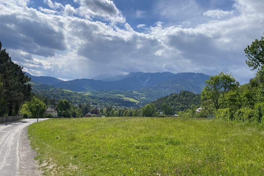 PERFEKTER Baugrund + RARITÄT + IMPOSANTE Grundstücksgröße + FERNSICHT + SONNIG!, Grund und Boden-kauf, 450.000,€, 2651 Neunkirchen