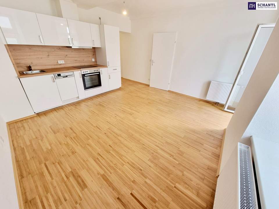 Perfekte 3-Zimmer mit Terrasse! Hier will ich leben! Traumhaft saniertes Altbauhaus + Hofseitige Terrasse + Tolle Infrastruktur und Anbindung + Lebensqualität! Jetzt zugreifen!
