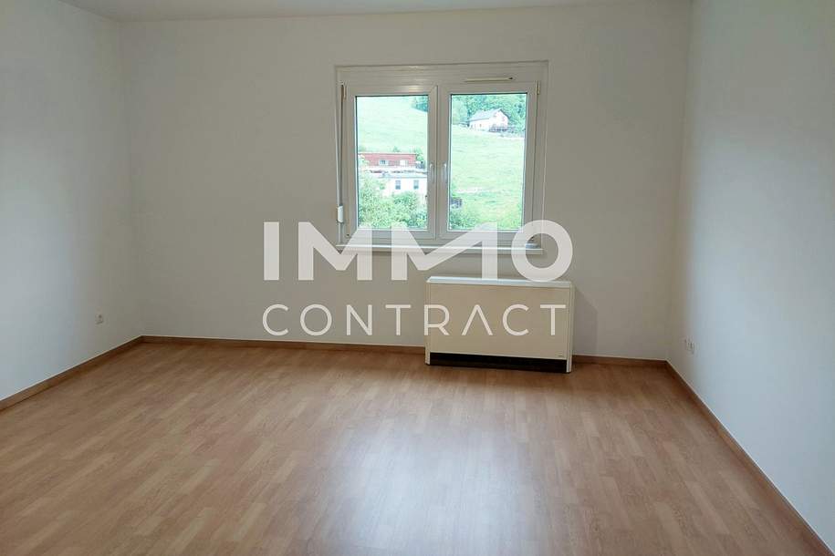 Wohnung teilsaniert ca. 65m² in Waidhofen an der Ybbs, Wohnung-miete, 474,24,€, 3340 Waidhofen an der Ybbs(Stadt)