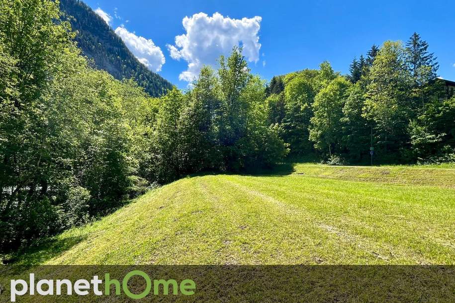 Naturnahes Baugrundstück in Randlage bei Unken, Grund und Boden-kauf, 200.000,€, 5091 Zell am See