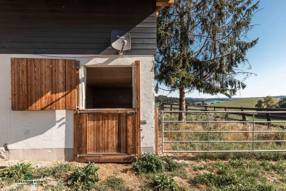 Exklusive REITERHOF in einzigartiger Alleinlage im Salzburger Seenland, Gewerbeobjekt-kauf, 3.100.000,€, 5164 Salzburg-Umgebung