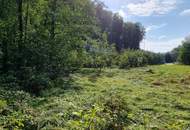 BAUGRUND IN SONNIGER, RUHIGER LAGE