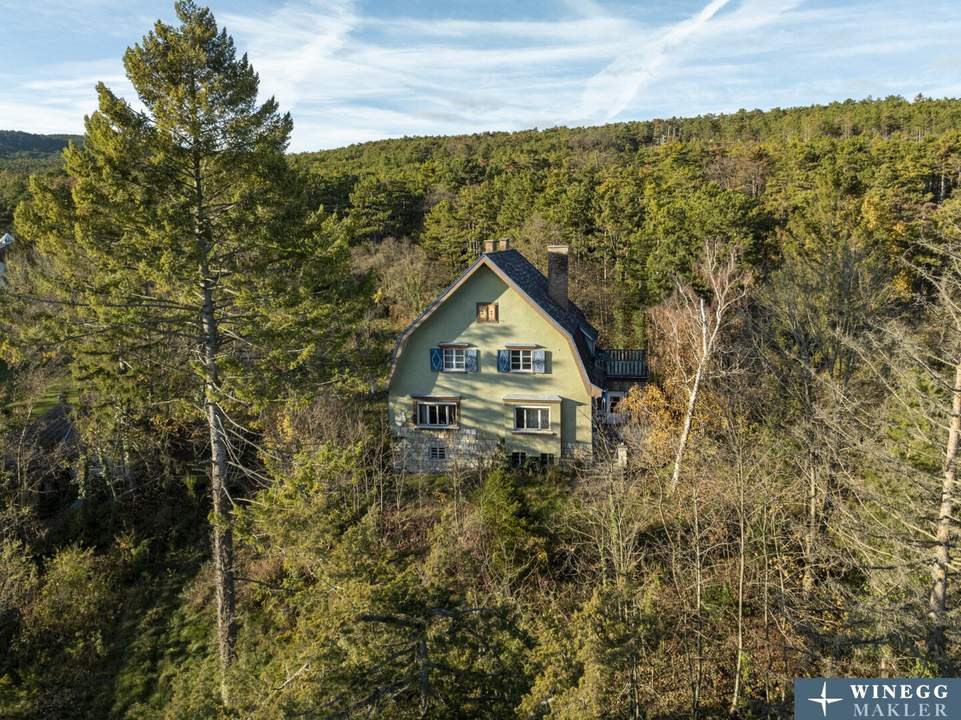 Einzigartige Jahrhundertwende-Villa mit Privatpark und Wald | Blick in alle Himmelsrichtungen | Lichtdurchflutet