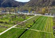 WACHAU LIFESTYLE – AUSSERGEWÖHNLICHES WEINGUT IN IKONISCHER DONAULAGE BEI DÜRNSTEIN