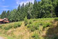 "Aufi auf die Olm": Grund mit Wald auf der Hebalm (Provisionsfrei)