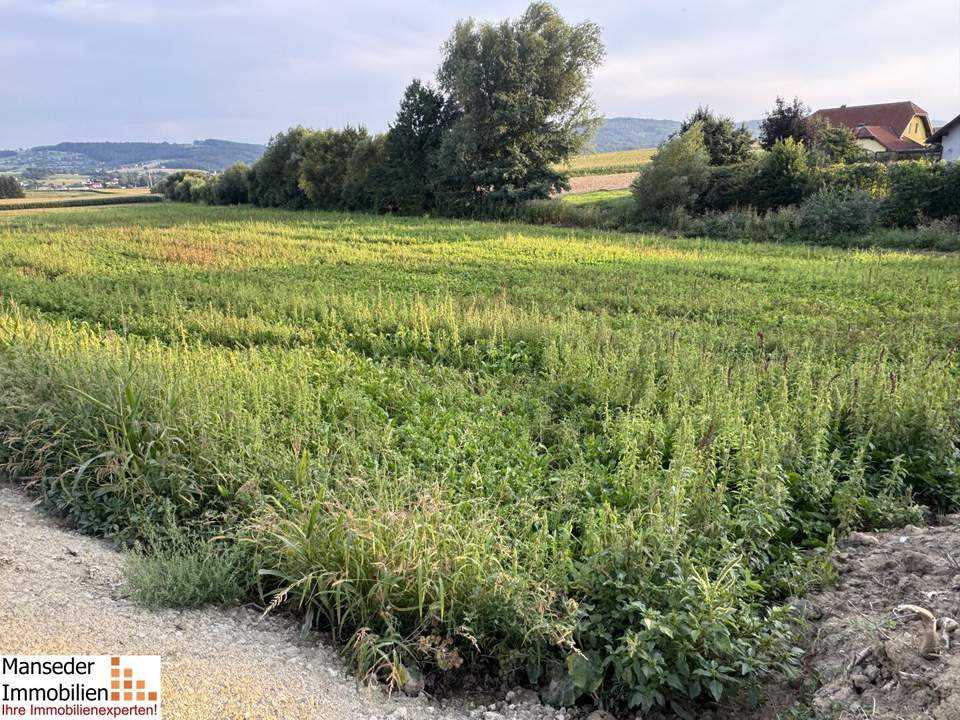 JETZT HEISST ES SCHNELL SEIN! 5 GRUNDSTÜCKE IN KIRCHSTETTEN-TOTZENBACH!