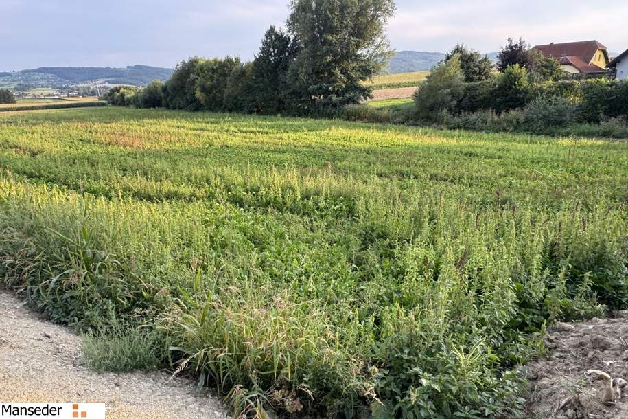 JETZT HEISST ES SCHNELL SEIN! 5 GRUNDSTÜCKE IN KIRCHSTETTEN-TOTZENBACH!, Grund und Boden-kauf, 3062 Sankt Pölten(Land)
