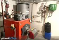 Sofort beziehbar! Gepflegtes Einfamilienhaus in Ruhelage mit Garten & Obstwiese