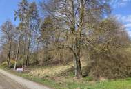Unverbaubare Fernsicht - 1.531 m² großes Hang-Baugrundstück; OHNE Bauzwang und OHNE Bebauungsplan!