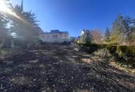 "Rarität in Penzing"