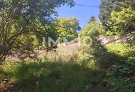 Baurechtsliegenschaft mit Planung für ein Luxus Doppelhaus; kurz vor Baugenehmigung, Baurechtszins nur 650.-/Monat